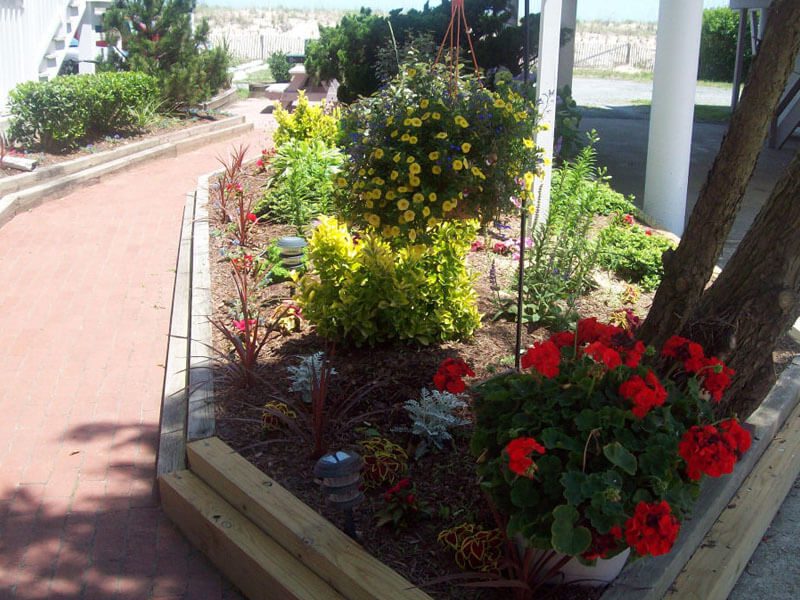 A full-shot of a garden with different plants on display along the sidewalk.